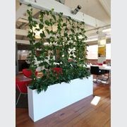 Plant Installations On Wires | Hire Plants gallery detail image