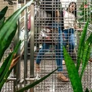 Hadlow Wovenpanel® Decorative Wire Mesh gallery detail image