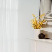 Natural Order | Wall Art gallery detail image