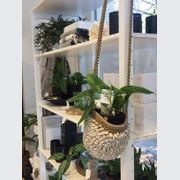 Classic Shelving by Lundia gallery detail image