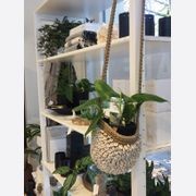 Classic Shelving by Lundia gallery detail image