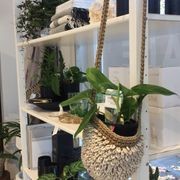 Classic Shelving by Lundia gallery detail image