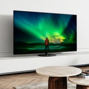 Panasonic OLED TV TH-55LZ1500Z gallery detail image