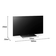 Panasonic OLED TV TH-48LZ980Z gallery detail image