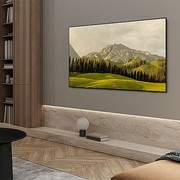 Samsung OLED 4K Smart TV S85F gallery detail image