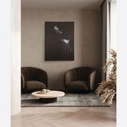 Astralis gallery detail image