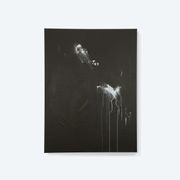 Astralis gallery detail image