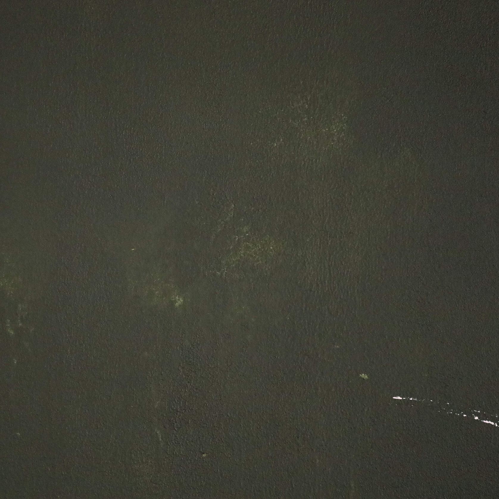Viridis gallery detail image