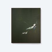 Viridis gallery detail image