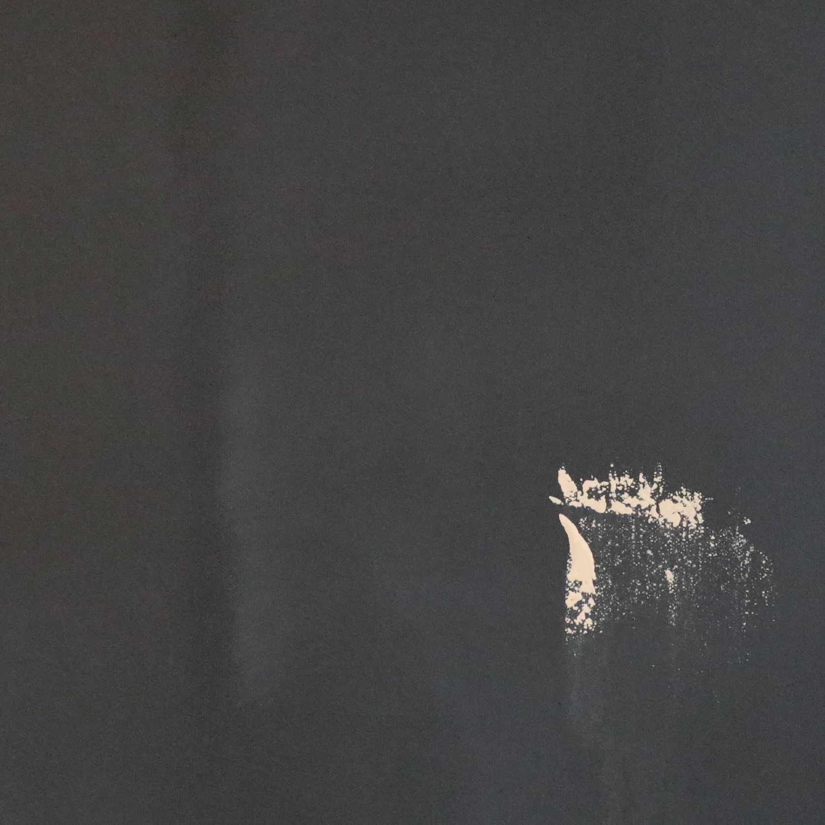 Caligo gallery detail image