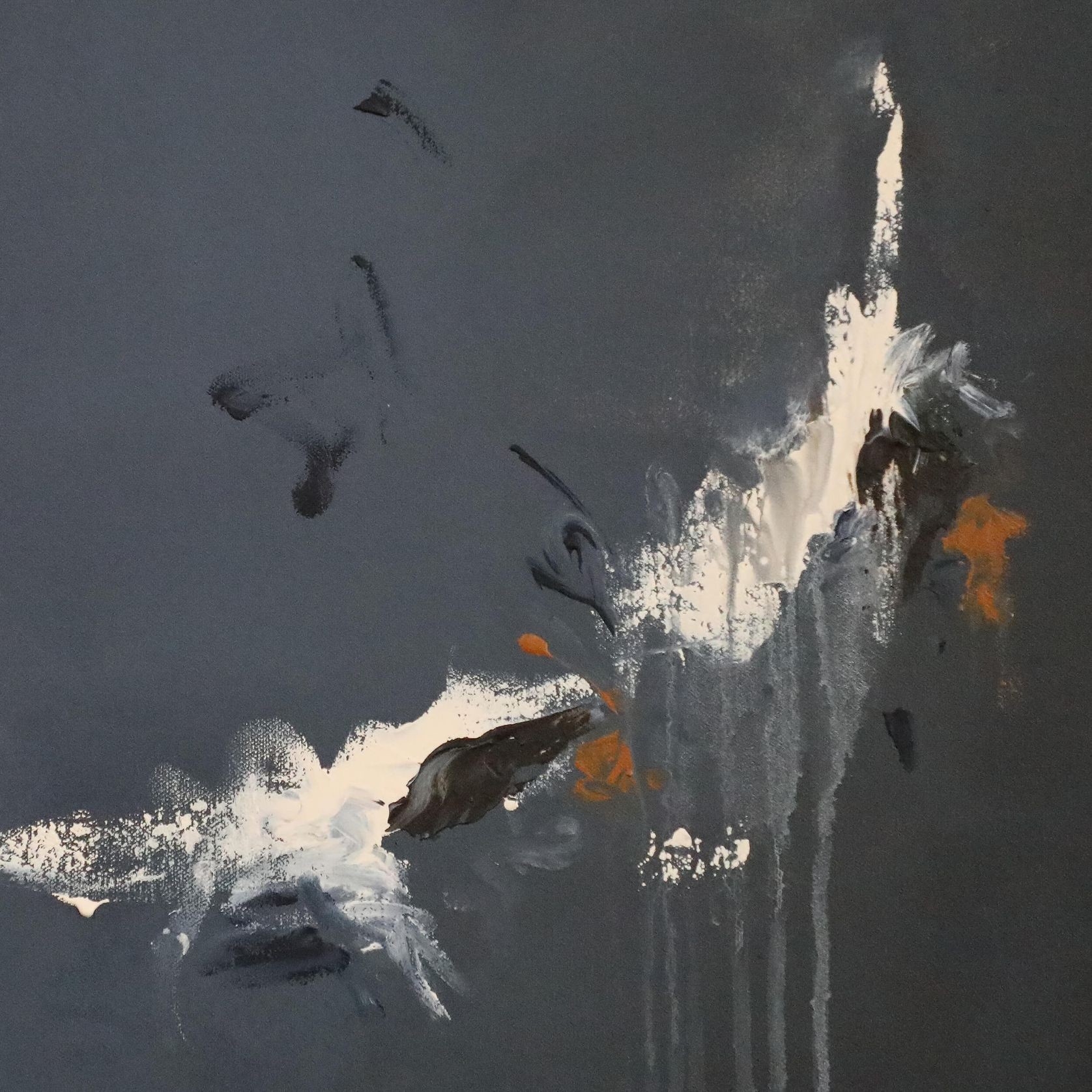 Caligo gallery detail image