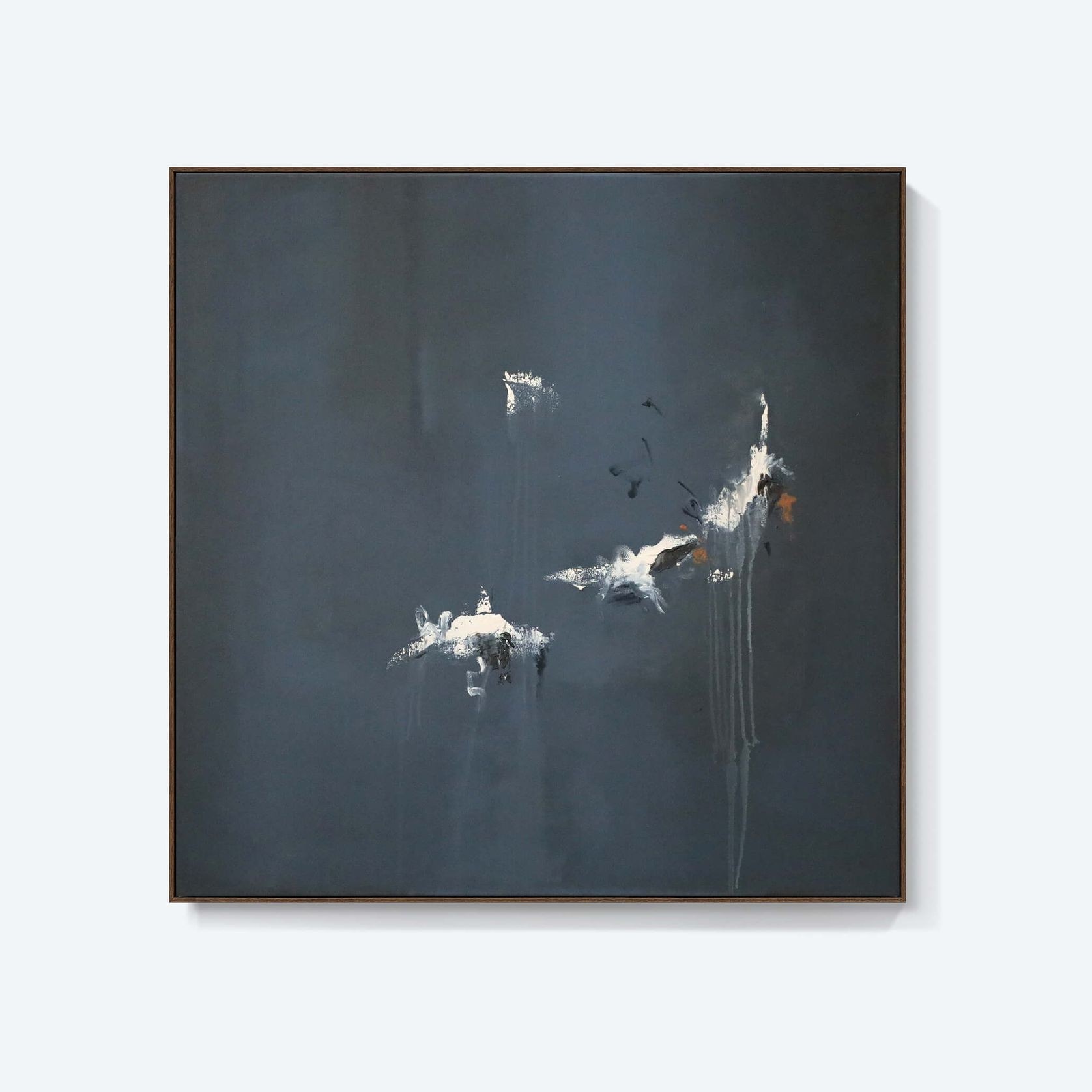 Caligo gallery detail image
