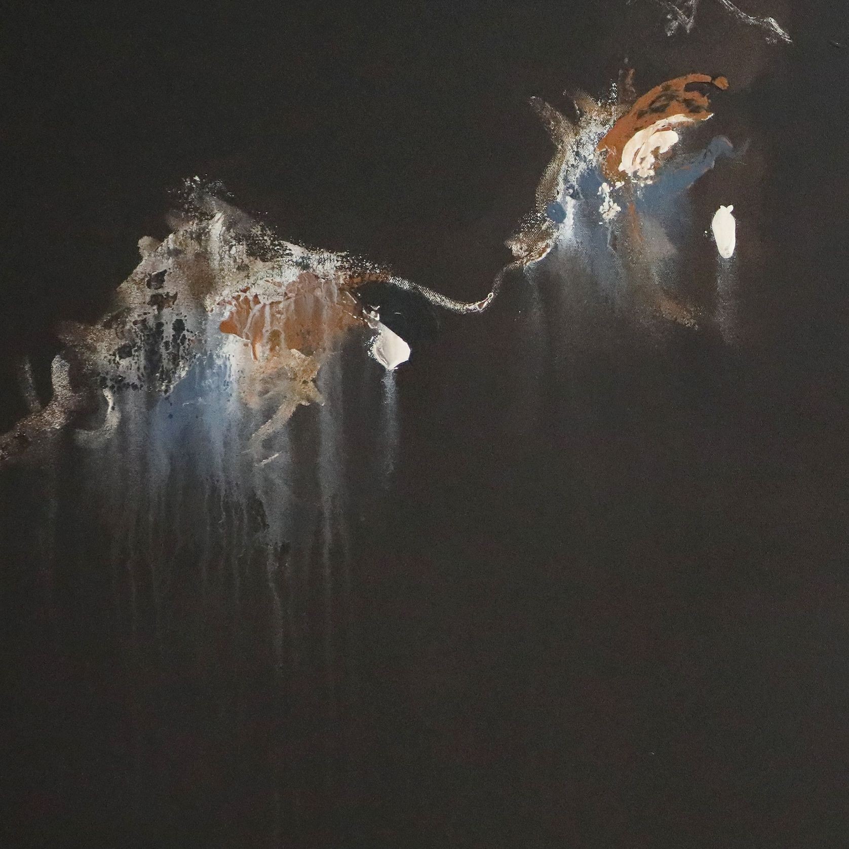 Aureum gallery detail image