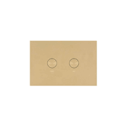 Oli Flush Panel Brushed Brass PVD gallery detail image
