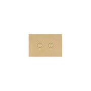 Oli Flush Panel Brushed Brass PVD gallery detail image