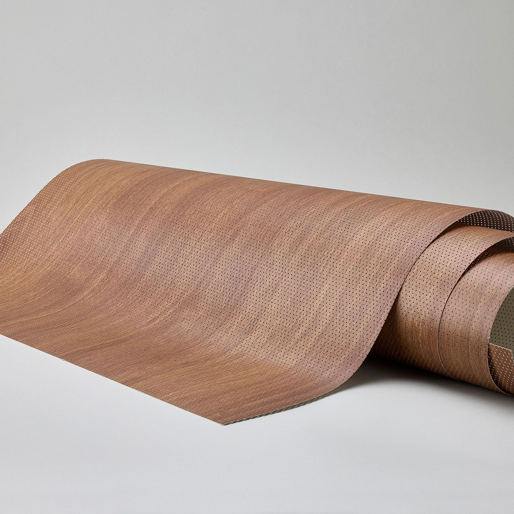 SOUNDLINA™ | Boxwood gallery detail image