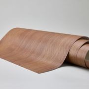 SOUNDLINA™ | Boxwood gallery detail image
