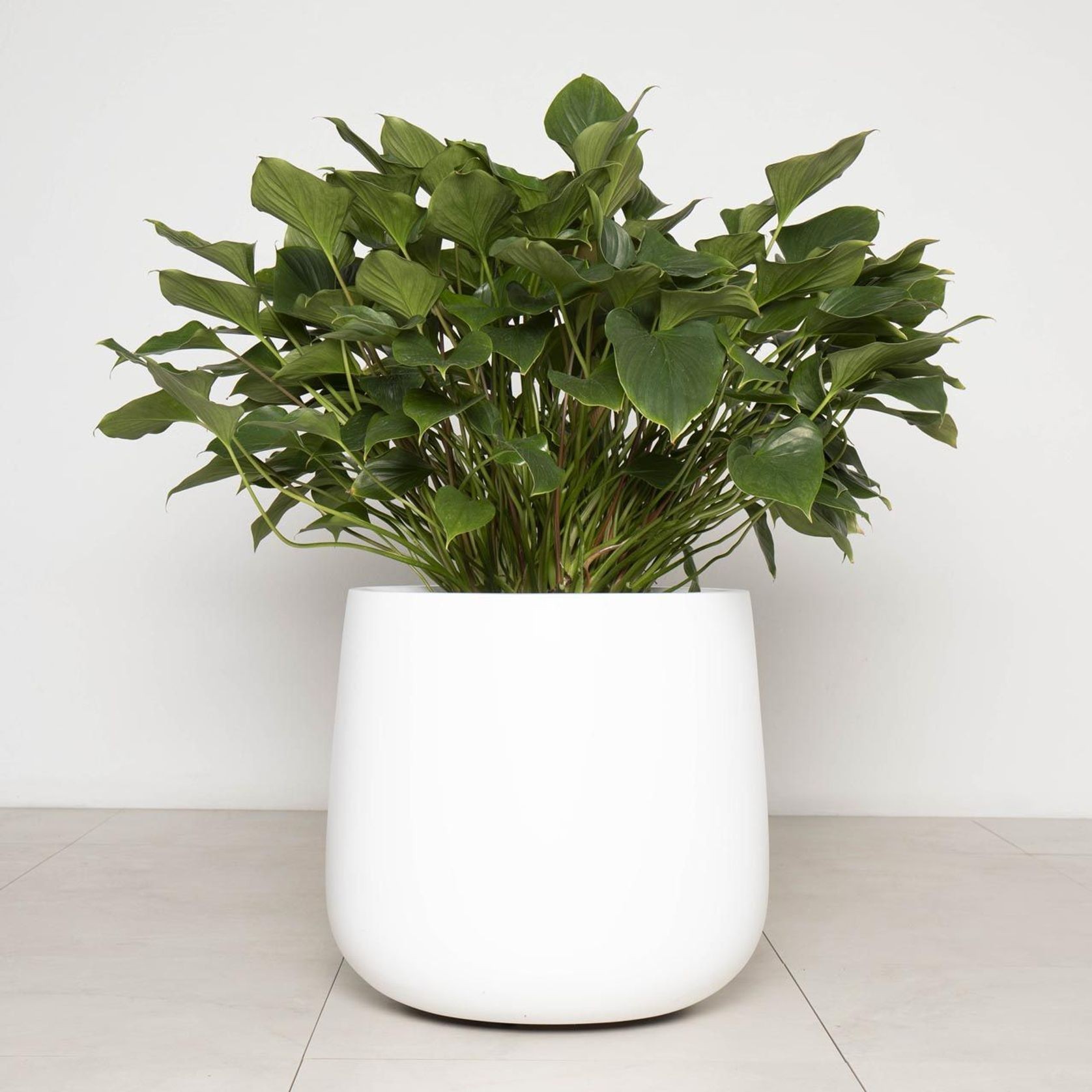 Planter Dolly gallery detail image