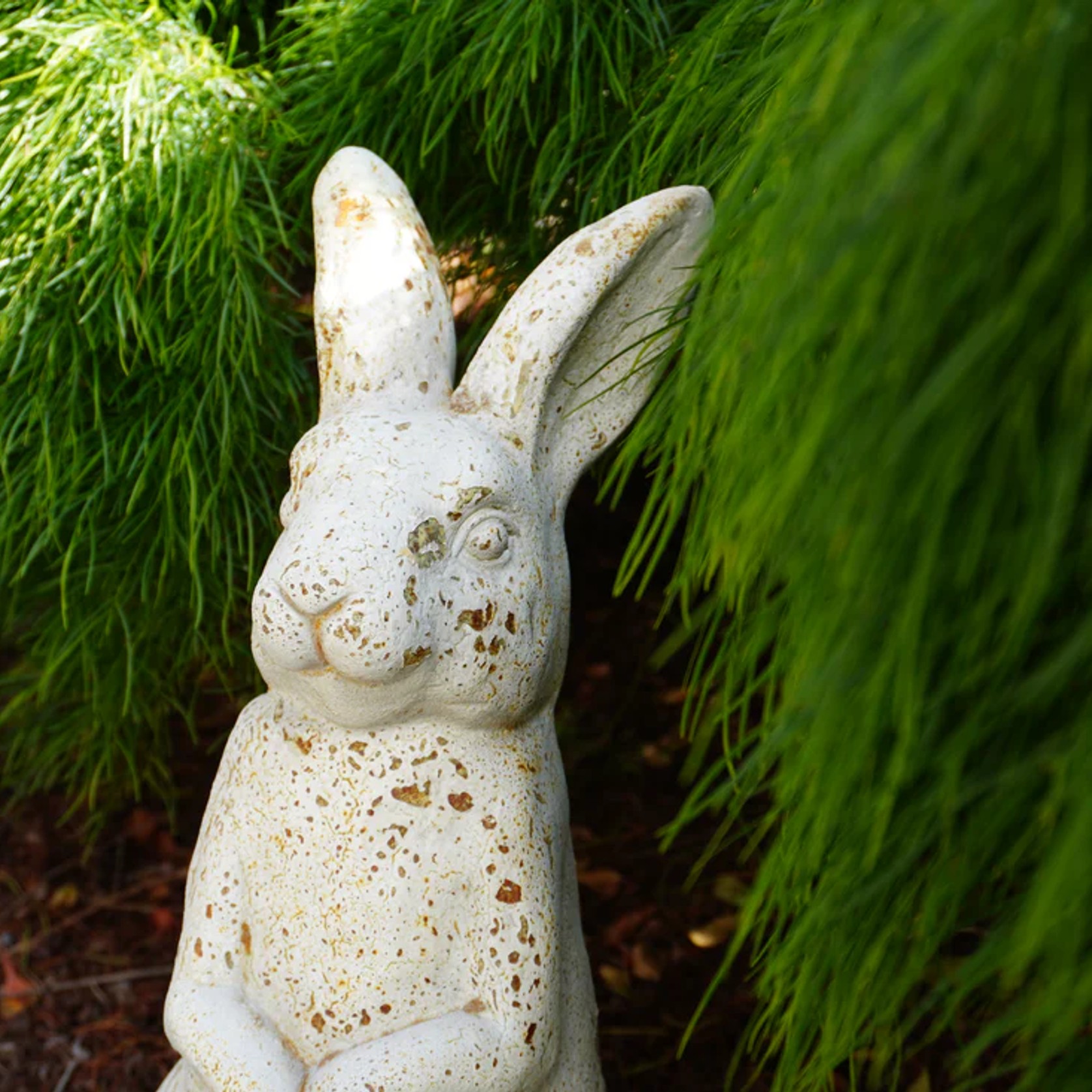 Timeless Rabbit gallery detail image