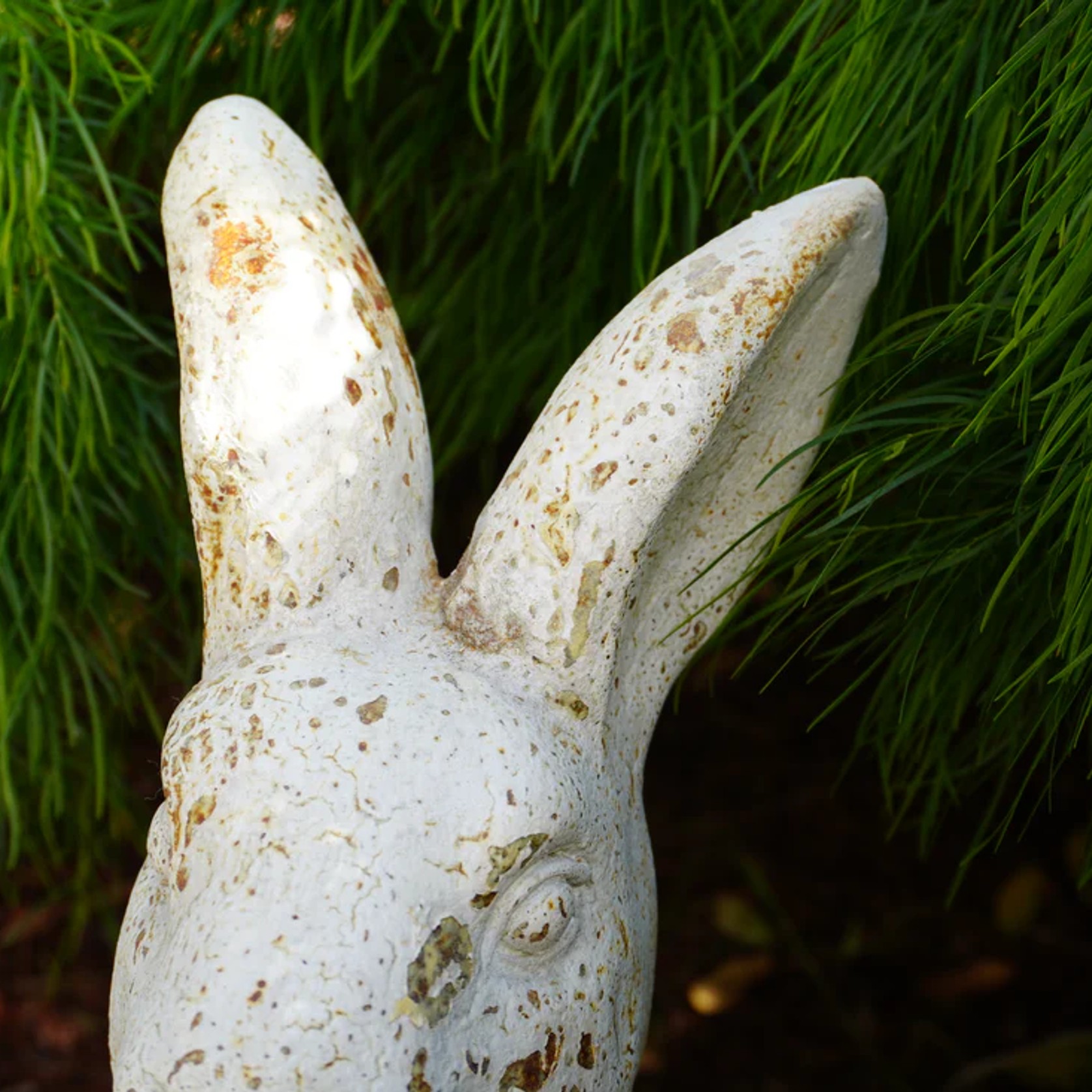 Timeless Rabbit gallery detail image