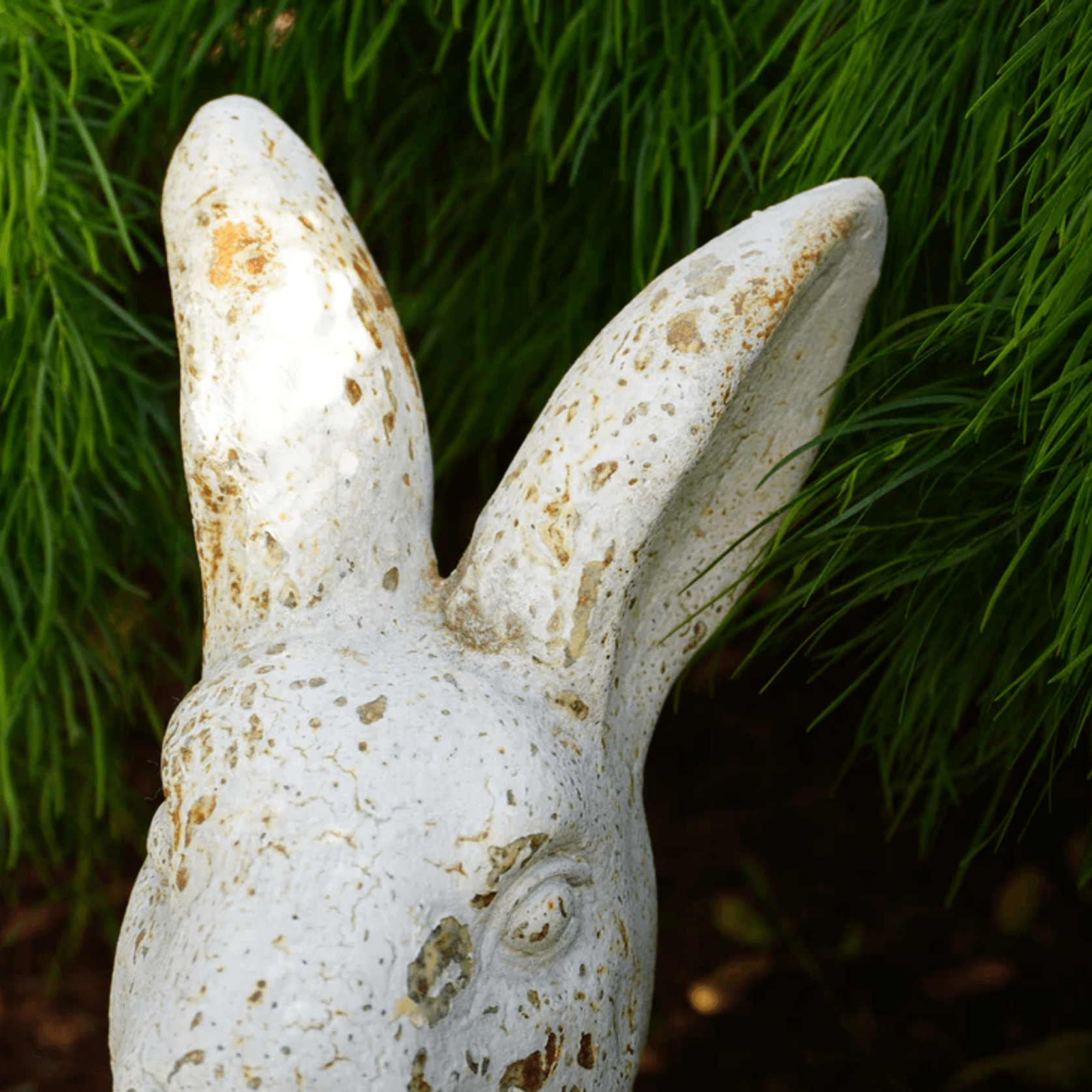Timeless Rabbit gallery detail image