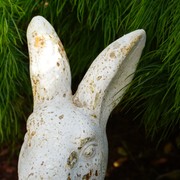 Timeless Rabbit gallery detail image