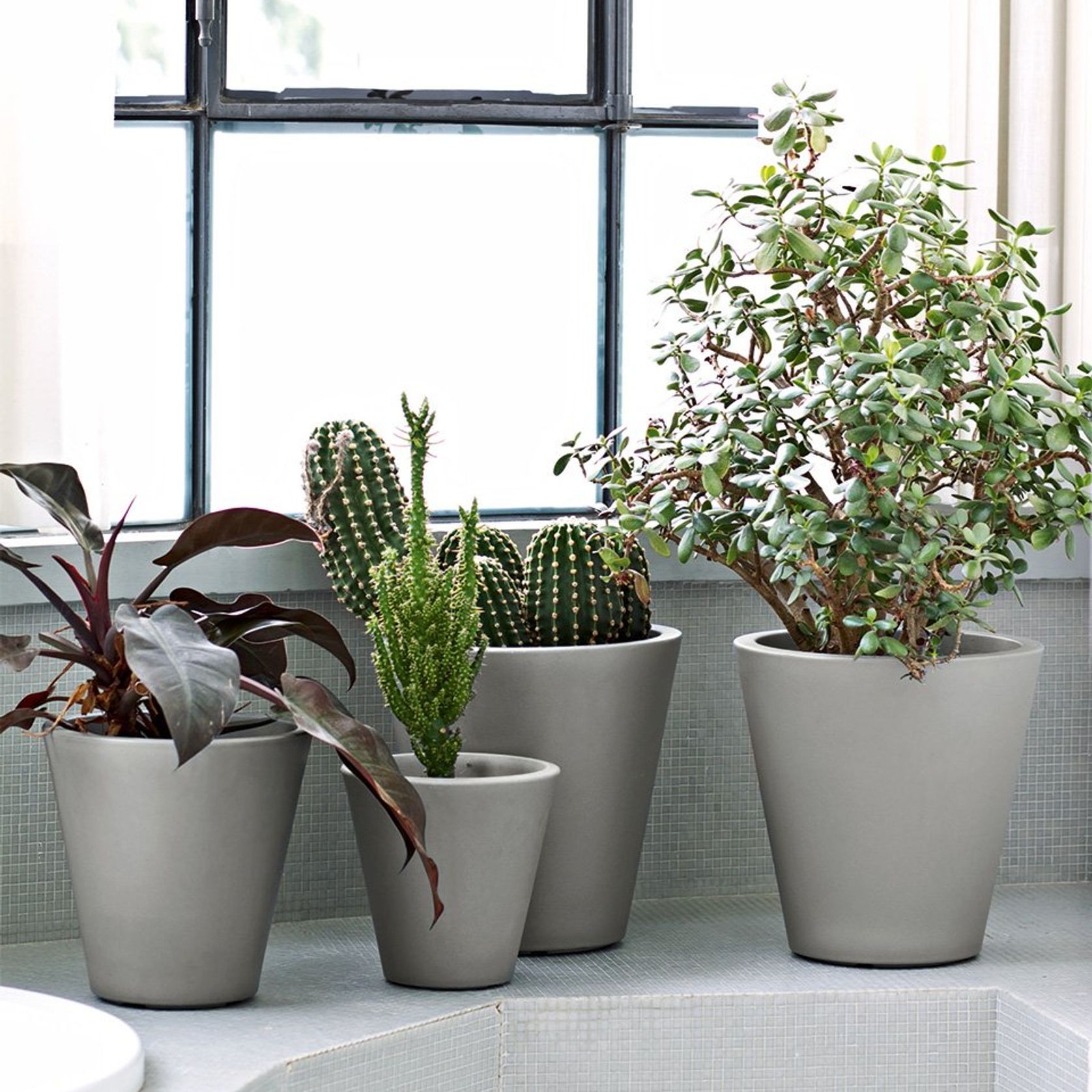 New Pot | Pots gallery detail image