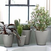 New Pot | Pots gallery detail image