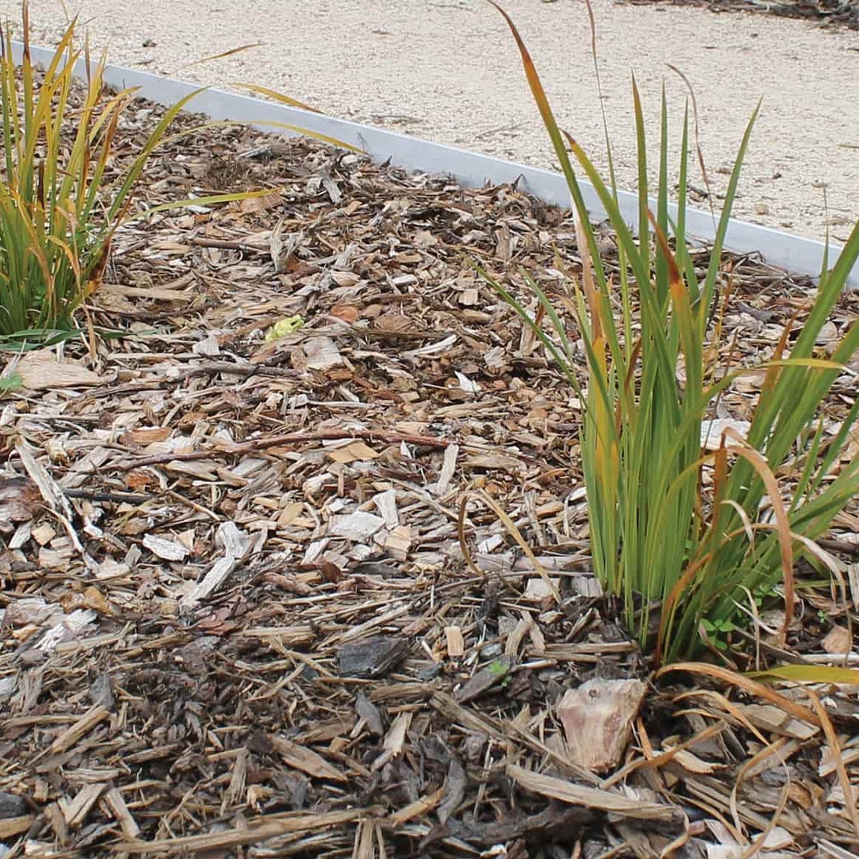 Landscape Pro 120 gallery detail image