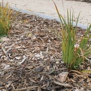 Landscape Pro 120 gallery detail image