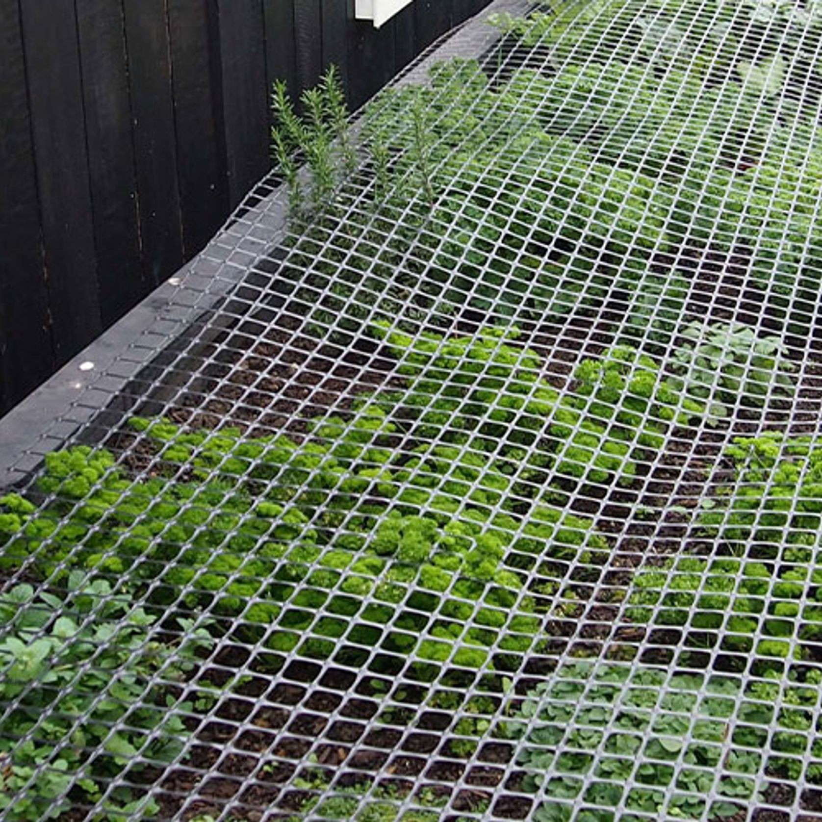 WeedStop High Water Retention gallery detail image