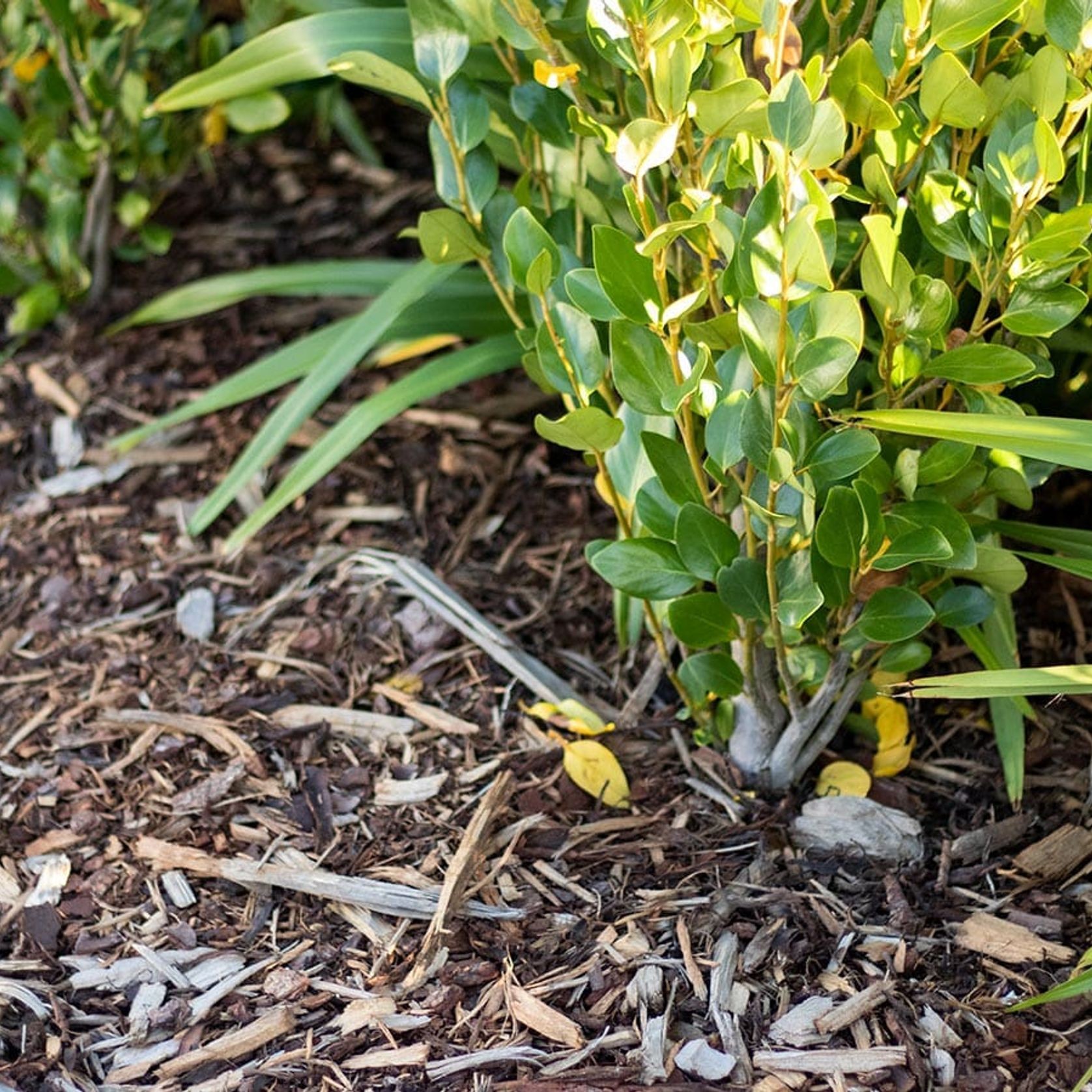 Landscape Pro 120 gallery detail image