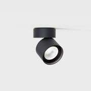 Pro R Ceiling Light gallery detail image