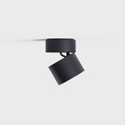Pro R Ceiling Light gallery detail image