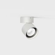 Pro R Ceiling Light gallery detail image