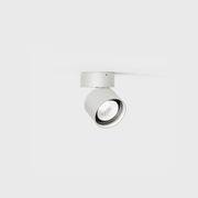 Pro R Ceiling Light gallery detail image