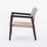 Tolo Lounge Chair - Dark Brown gallery detail image