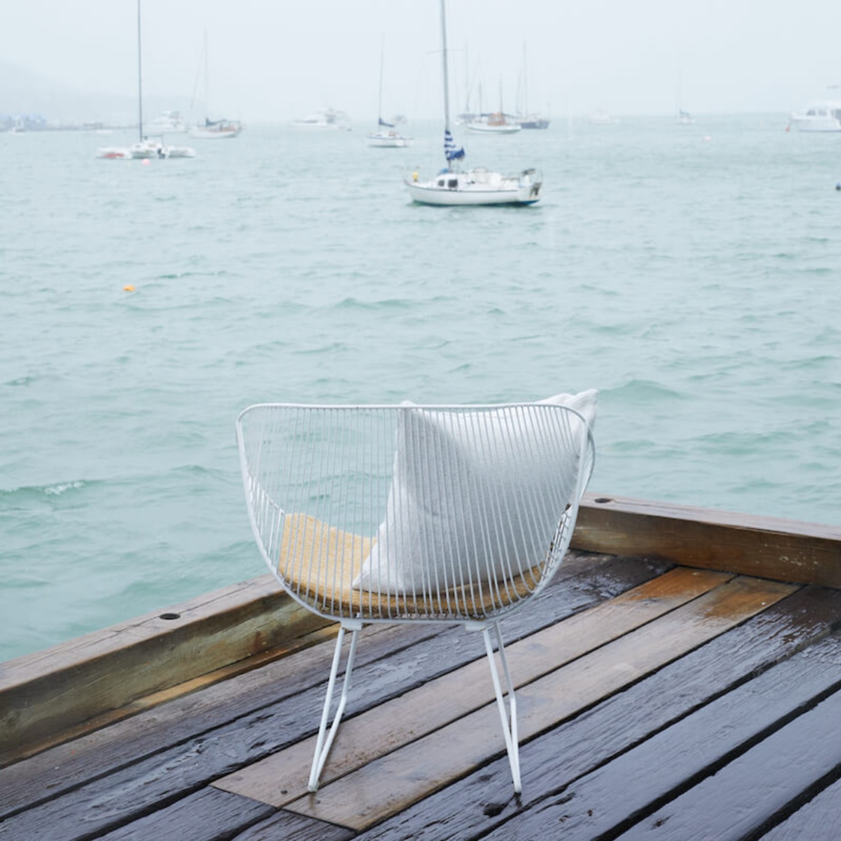 Coromandel Chair- STAINLESS gallery detail image