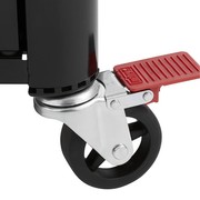 GENESIS SE-EPX-435 Smart Gas Barbecue (ULPG) gallery detail image