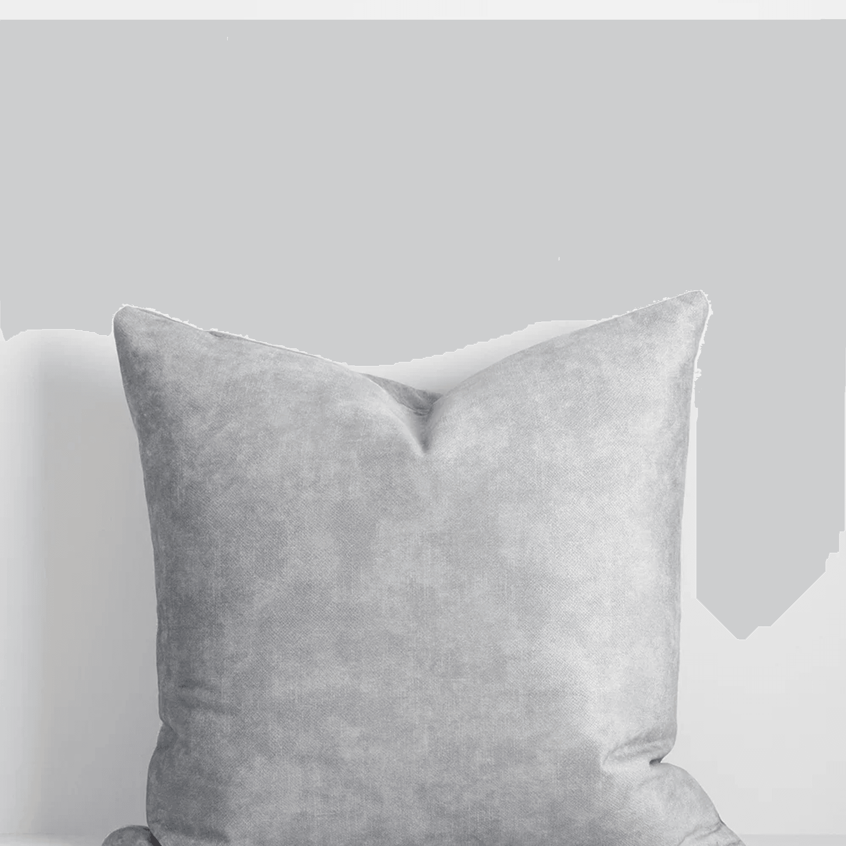 Baya Aster Cushion - Dove | 55 x 55cm gallery detail image