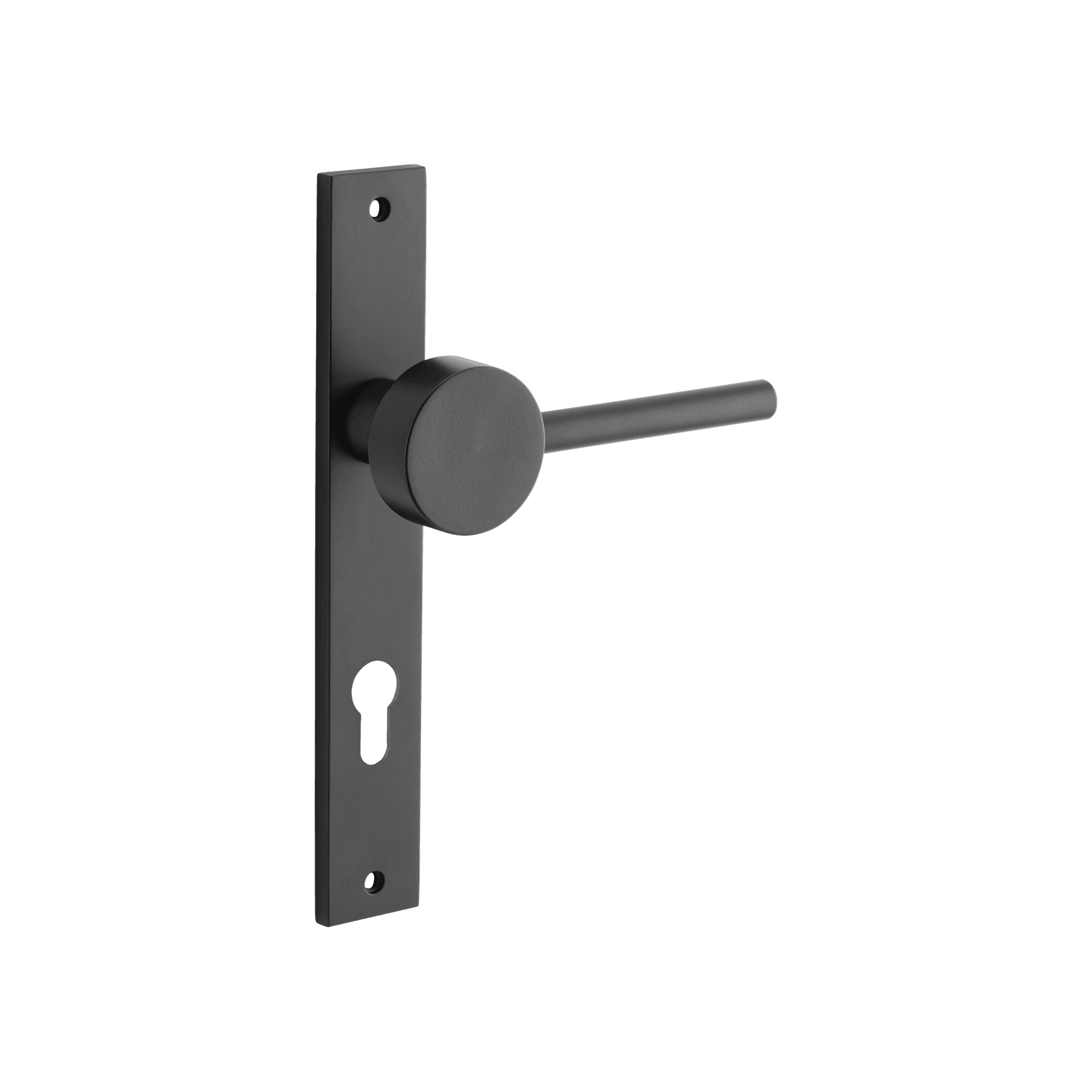 Geppetto Door Lever - Rectangular Backplate gallery detail image