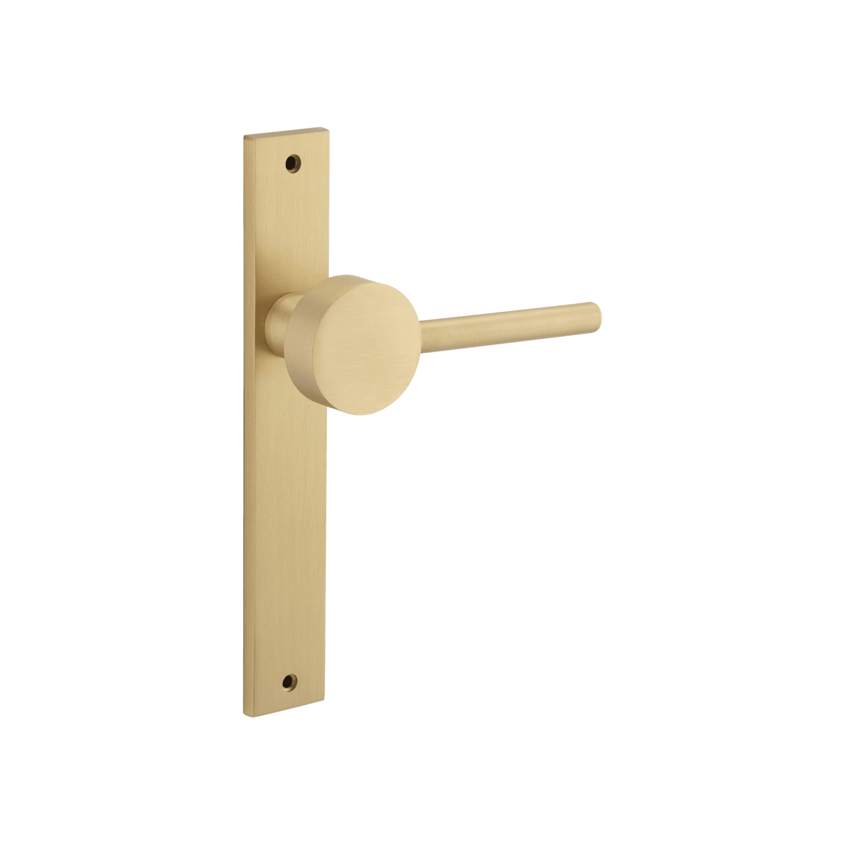 Geppetto Door Lever - Rectangular Backplate gallery detail image