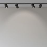 Ivy gallery detail image