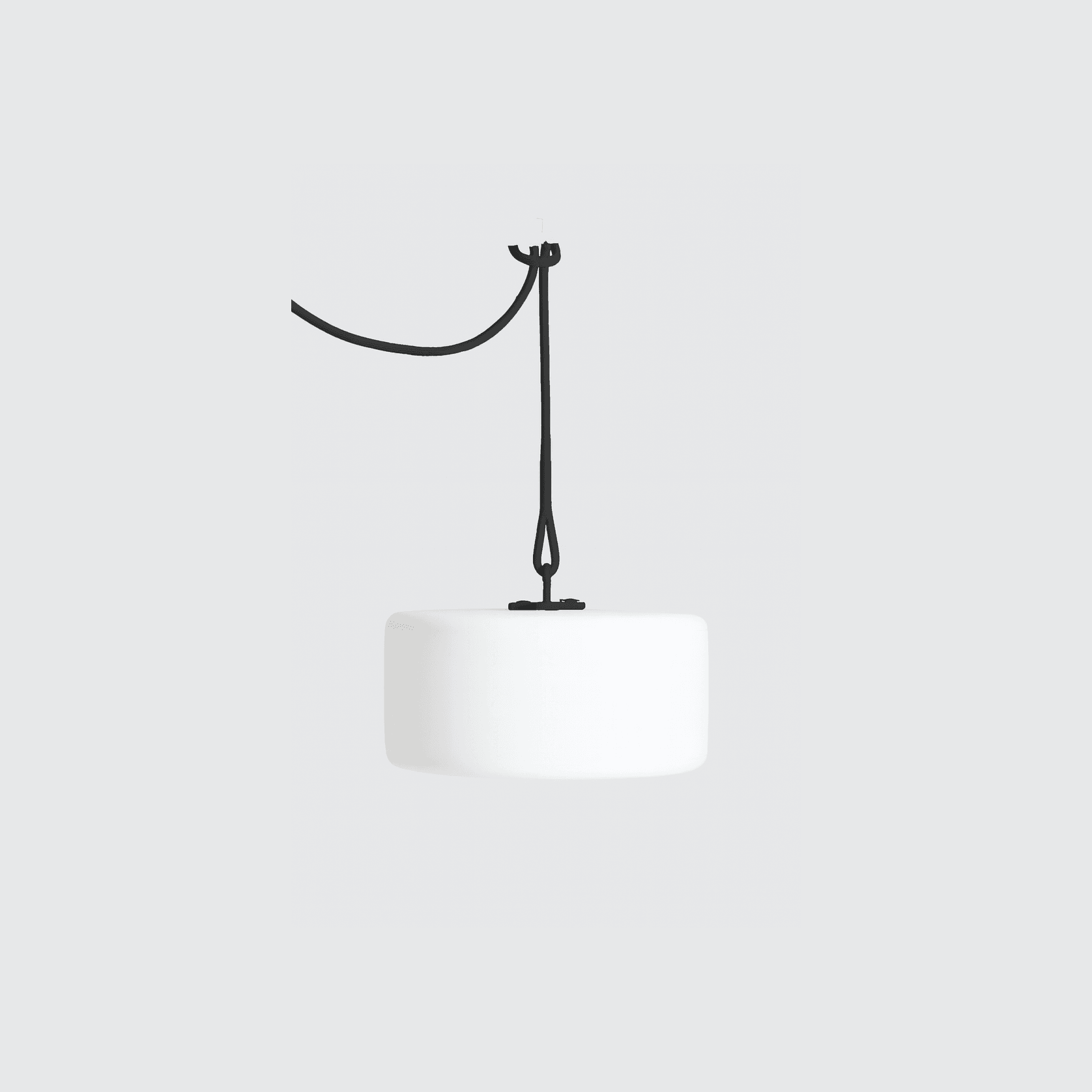 Thierry Le Swinger gallery detail image