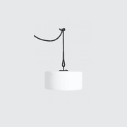 Thierry Le Swinger gallery detail image