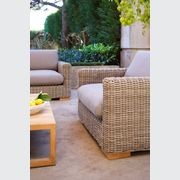 Claybourne Outdoor Lounge Armchair gallery detail image