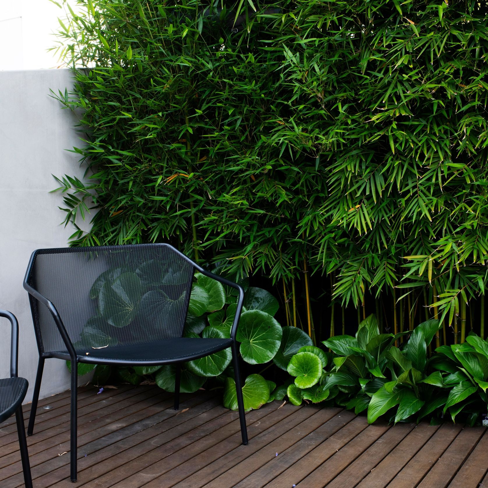 Darwin Outdoor Easy Chair gallery detail image