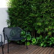 Darwin Outdoor Easy Chair gallery detail image
