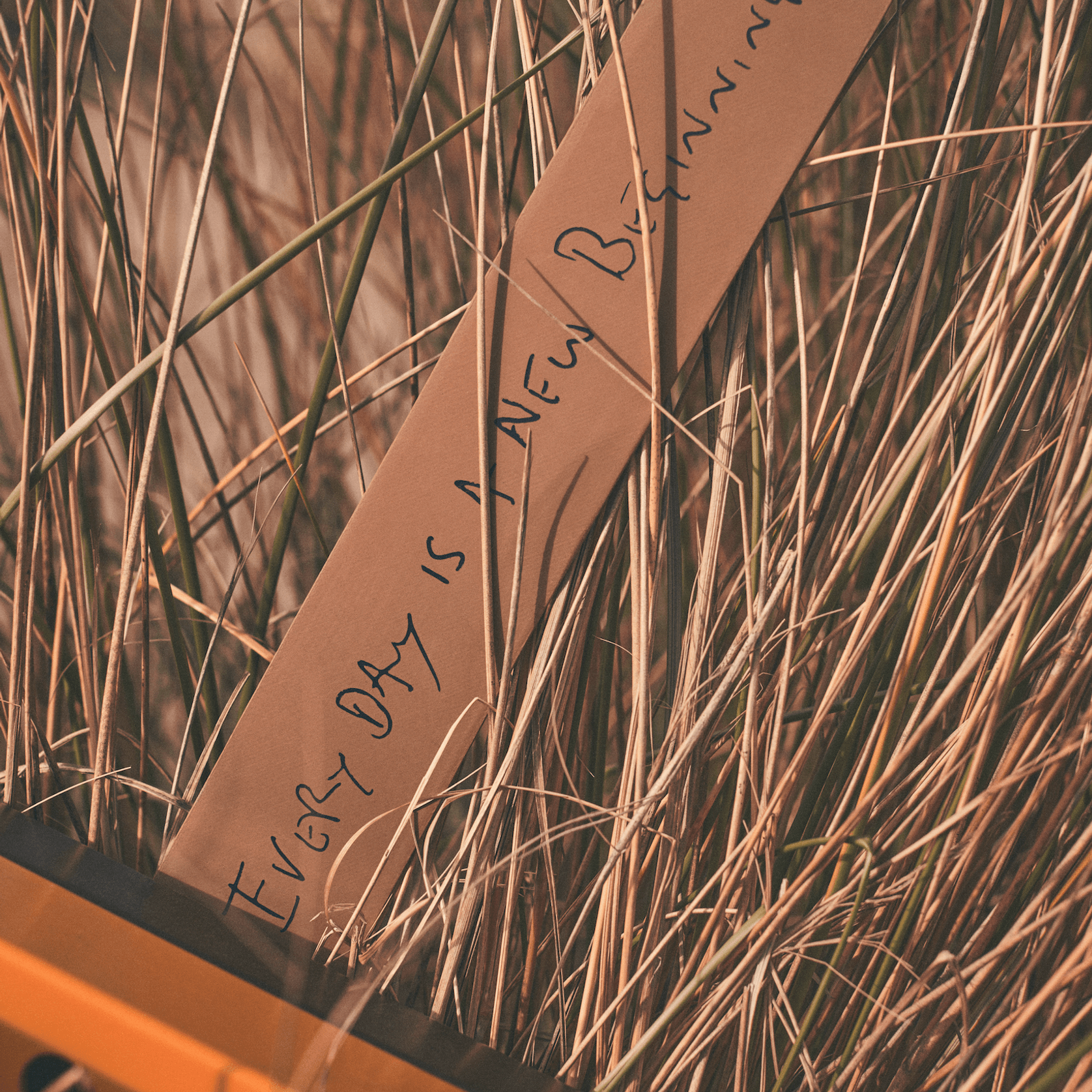 Everyday Life Outdoor Sofa by DePadova gallery detail image