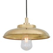 Darya Outdoor Pendant Light gallery detail image